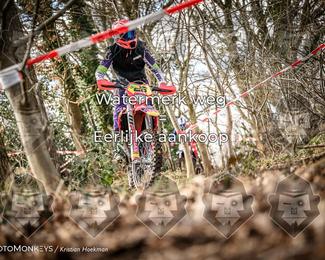 Cross Country Basse photo