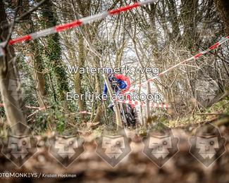 Cross Country Basse photo