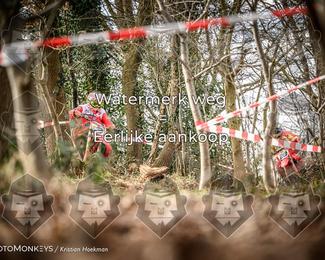 Cross Country Basse photo