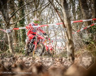 Cross Country Basse photo