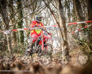 Cross Country Basse photo