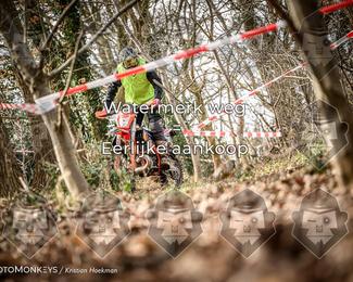 Cross Country Basse photo