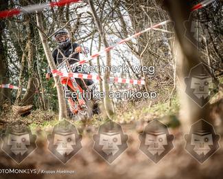 Cross Country Basse photo