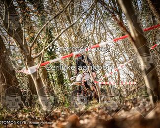 Cross Country Basse photo
