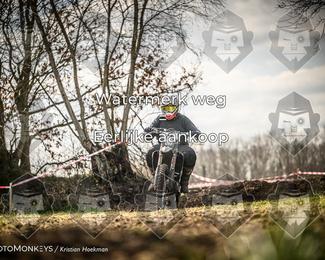 Cross Country Basse photo