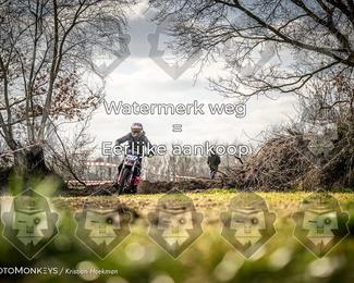 Cross Country Basse photo