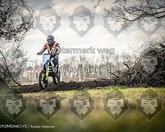 Cross Country Basse photo