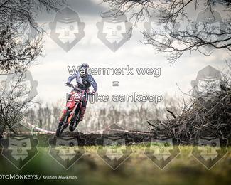 Cross Country Basse photo