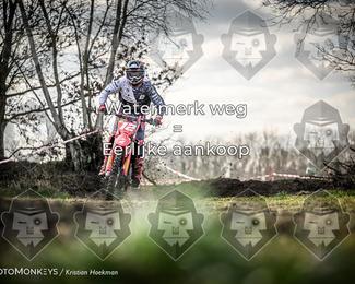 Cross Country Basse photo