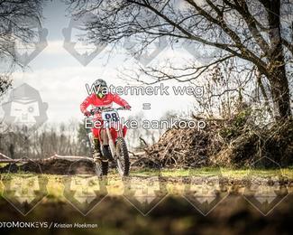 Cross Country Basse photo