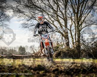 Cross Country Basse photo