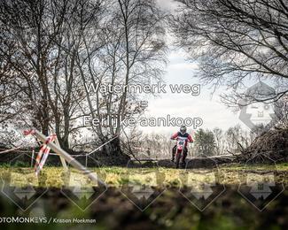 Cross Country Basse photo