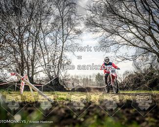 Cross Country Basse photo