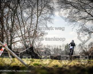 Cross Country Basse photo