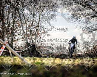 Cross Country Basse photo
