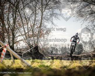 Cross Country Basse photo