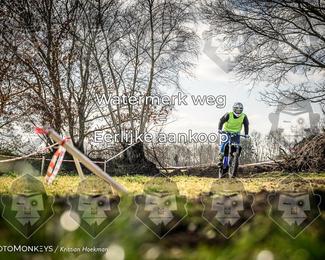 Cross Country Basse photo
