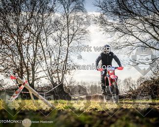 Cross Country Basse photo