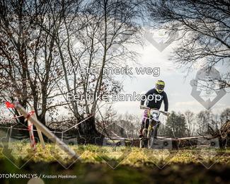 Cross Country Basse photo