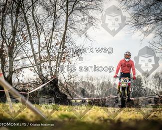 Cross Country Basse photo