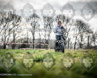 Cross Country Basse photo