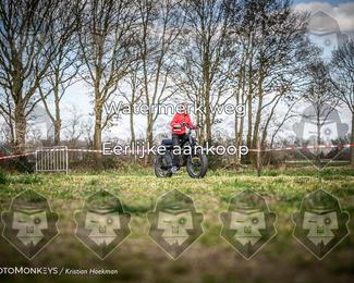 Cross Country Basse photo