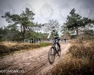 Drenthe 200 Extreme Marathon photo