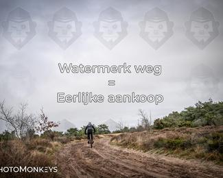 Drenthe 200 Extreme Marathon photo