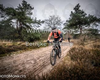 Drenthe 200 Extreme Marathon photo