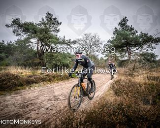 Drenthe 200 Extreme Marathon photo