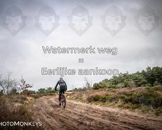 Drenthe 200 Extreme Marathon photo