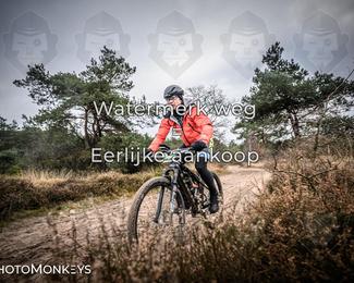 Drenthe 200 Extreme Marathon photo