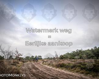 Drenthe 200 Extreme Marathon photo