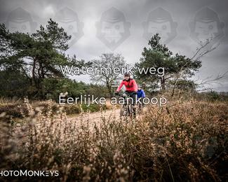 Drenthe 200 Extreme Marathon photo