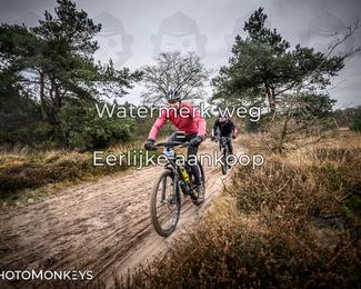 Drenthe 200 Extreme Marathon photo