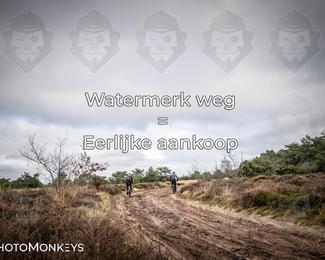 Drenthe 200 Extreme Marathon photo