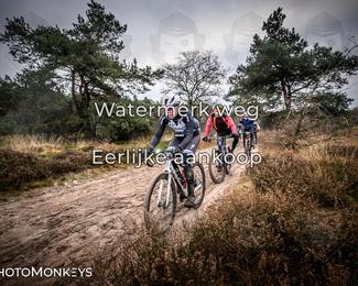 Drenthe 200 Extreme Marathon photo