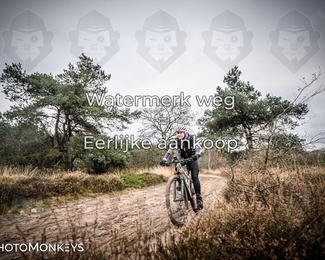 Drenthe 200 Extreme Marathon photo