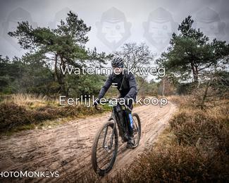 Drenthe 200 Extreme Marathon photo