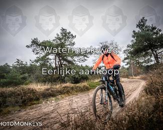 Drenthe 200 Extreme Marathon photo
