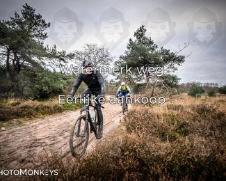 Drenthe 200 Extreme Marathon photo
