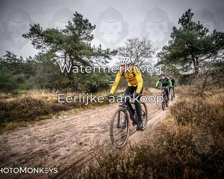 Drenthe 200 Extreme Marathon photo