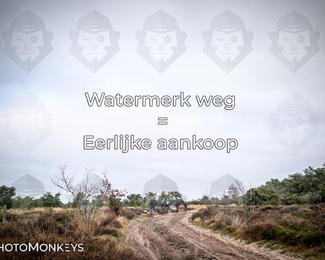 Drenthe 200 Extreme Marathon photo