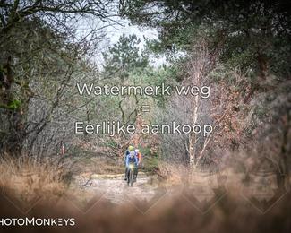 Drenthe 200 Extreme Marathon photo