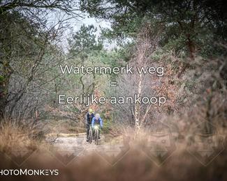 Drenthe 200 Extreme Marathon photo