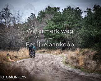 Drenthe 200 Extreme Marathon photo