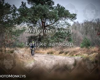 Drenthe 200 Extreme Marathon photo