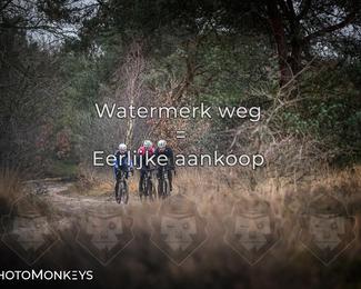 Drenthe 200 Extreme Marathon photo