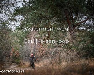 Drenthe 200 Extreme Marathon photo