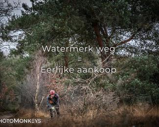 Drenthe 200 Extreme Marathon photo